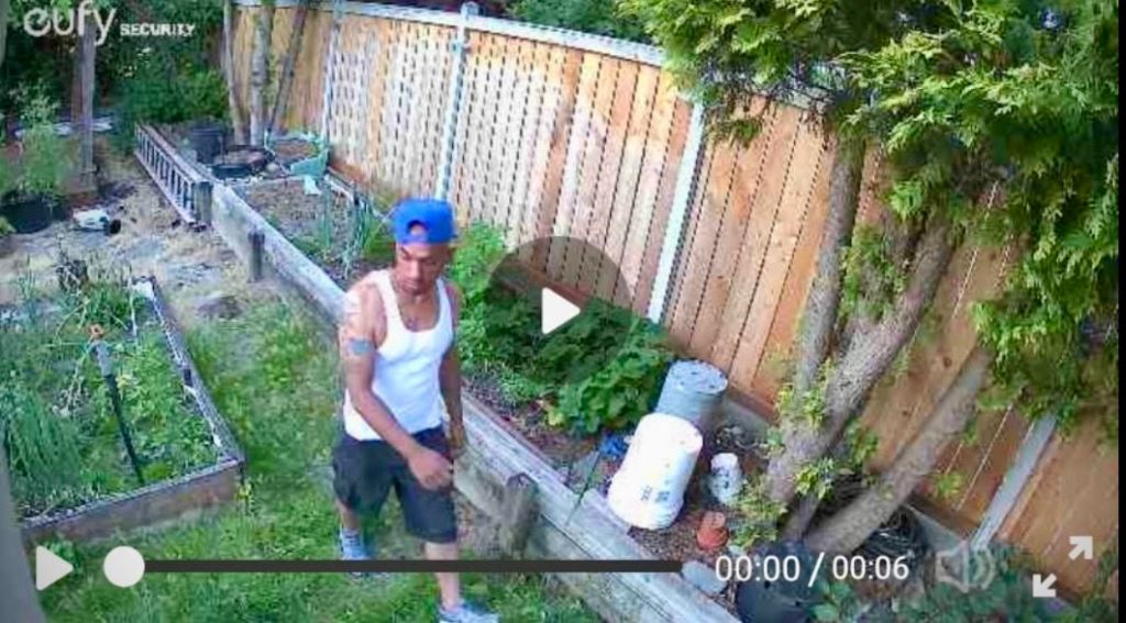 Security Alert: Suspicious individual spotted in resident’s&nbsp;backyard