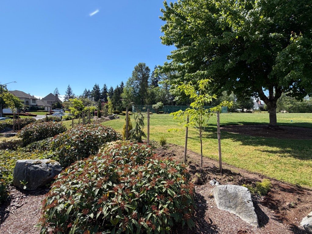 Big Park enhancement project update